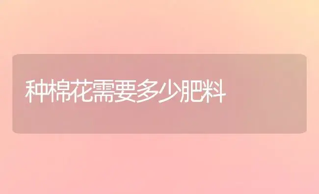 柿子新品种“次郎”通过认定 | 植物科普