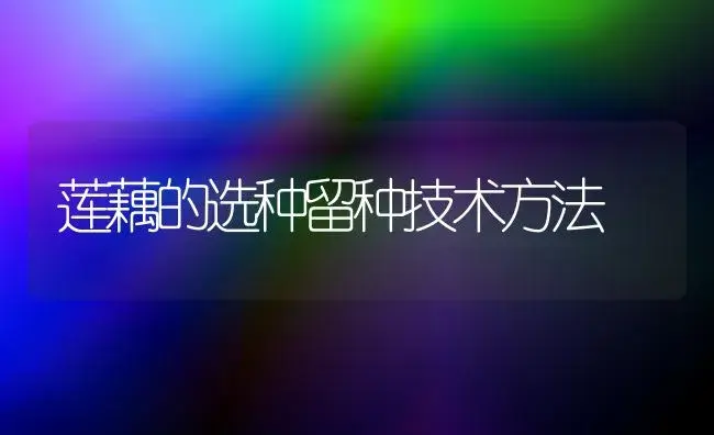 莲藕的选种留种技术方法 | 植物科普
