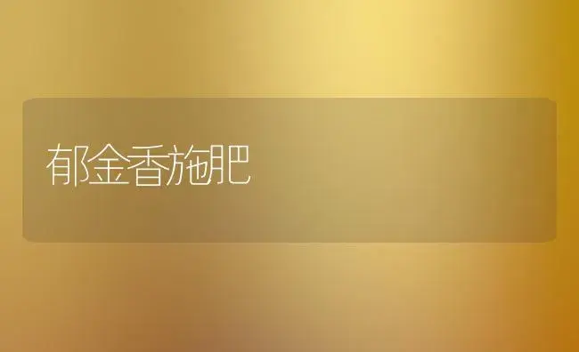 火鹤家庭养护知识 | 植物知识