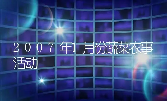 2007年1月份蔬菜农事活动 | 植物资料