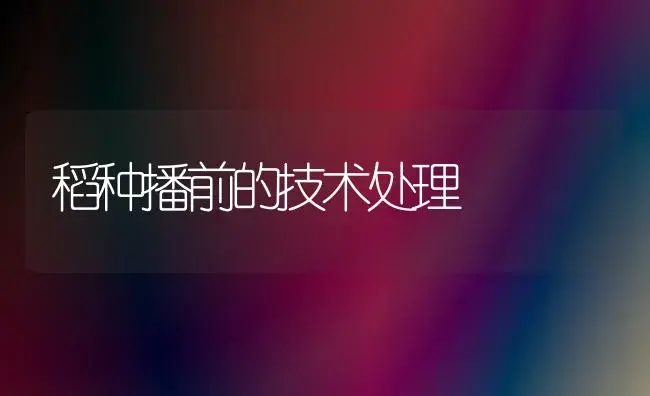 稻种播前的技术处理 | 植物科普