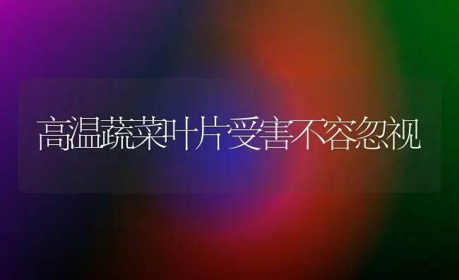 高温蔬菜叶片受害不容忽视 | 植物百科