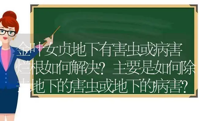 金叶女贞地下有害虫或病害烂根如何解决?主要是如何除去地下的害虫或地下的病害?最好是能保住未烂根的？ | 植物问答