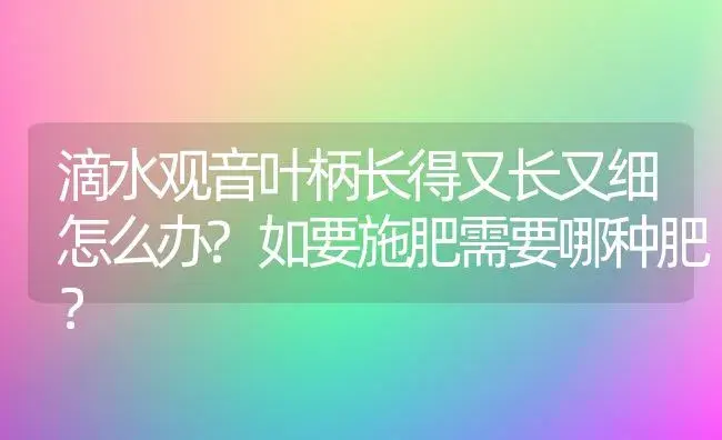 滴水观音叶柄长得又长又细怎么办?如要施肥需要哪种肥？ | 植物问答