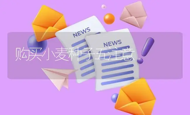 购买小麦种子五注意 | 植物资料