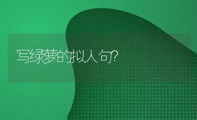 写绿萝的拟人句？ | 植物问答