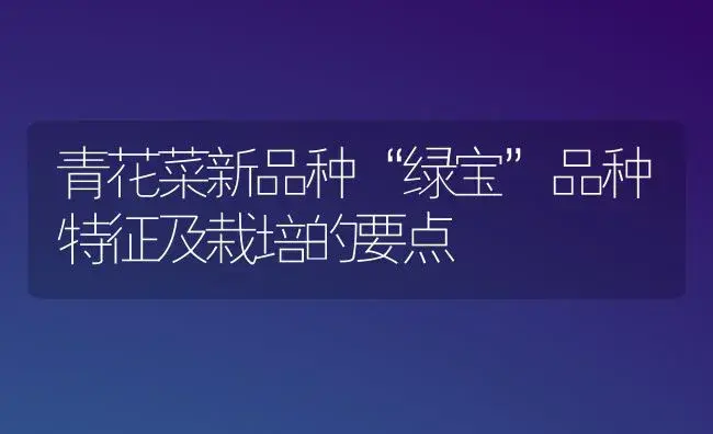 青花菜新品种“绿宝”品种特征及栽培的要点 | 植物科普