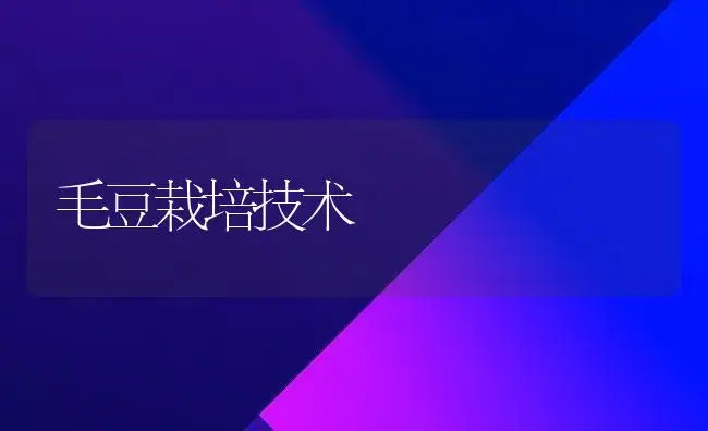 毛豆栽培技术 | 植物科普