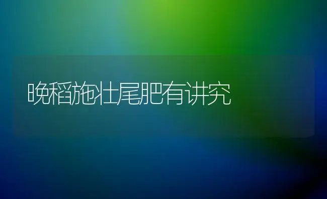 介绍几种草坪 | 植物科普