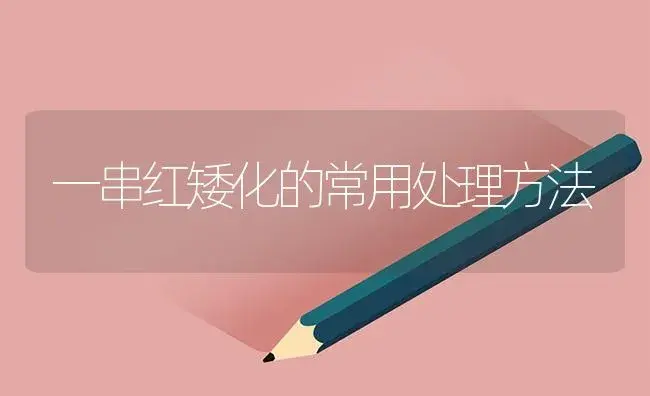 蝴蝶兰的繁殖和养护技巧-花卉苗木养护管理 | 植物知识