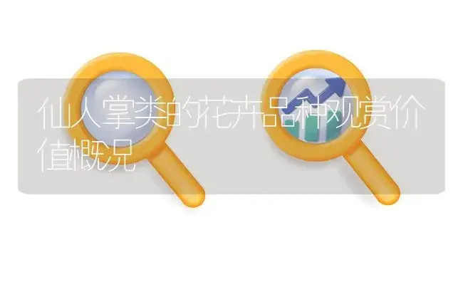 仙人掌类的花卉品种观赏价值概况 | 植物知识