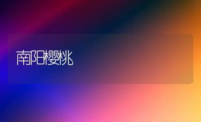 南阳樱桃 | 植物科普