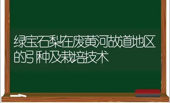 绿宝石梨在废黄河故道地区的引种及栽培技术 | 植物科普