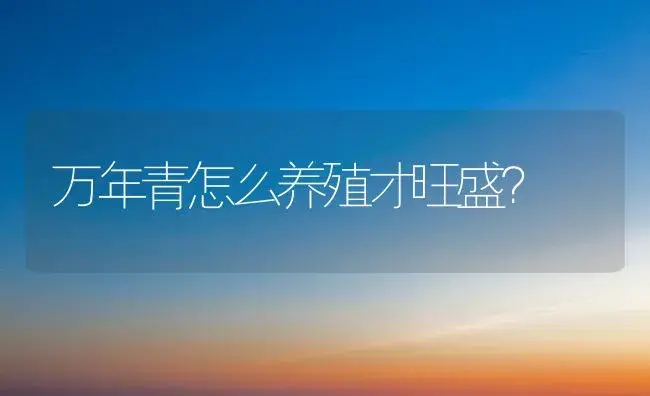 万年青怎么养殖才旺盛？ | 植物问答