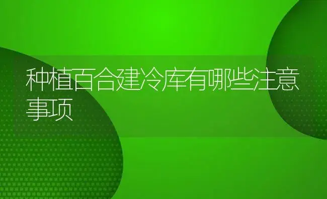 种植百合建冷库有哪些注意事项 | 植物知识