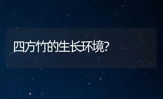 四方竹的生长环境？ | 植物问答