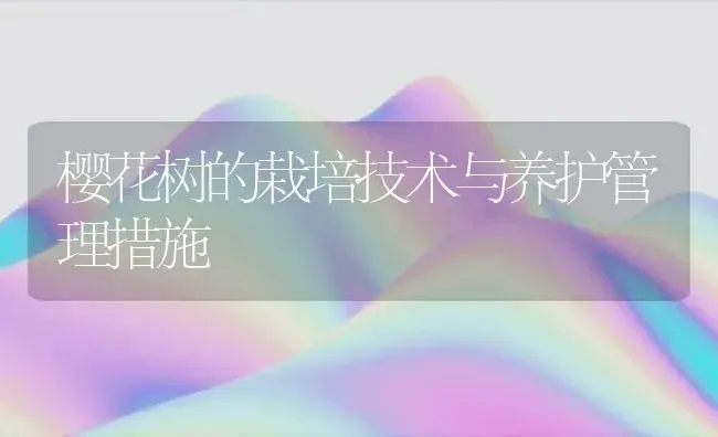樱花树的栽培技术与养护管理措施 | 植物科普