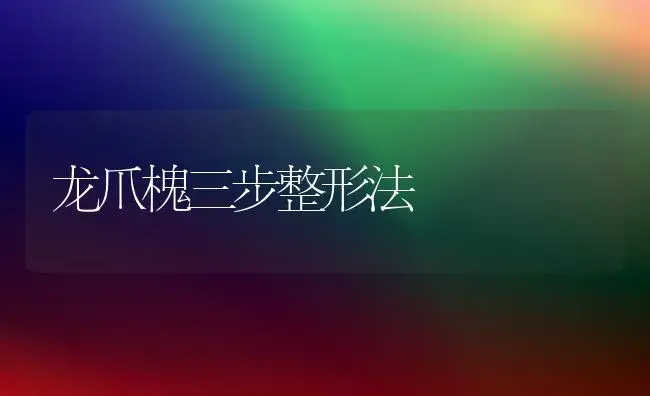 龙爪槐三步整形法 | 植物科普