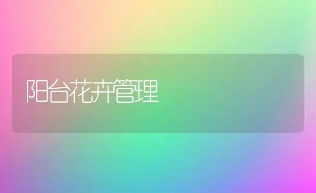 阳台花卉管理 | 植物科普