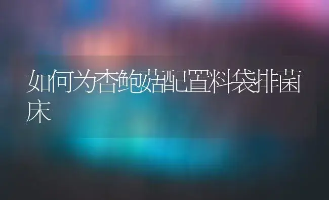 可替代草坪的几种地被植物-园林工程苗木种植技术 | 植物科普