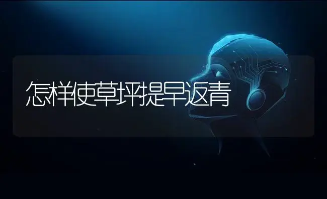 怎样使草坪提早返青 | 植物科普