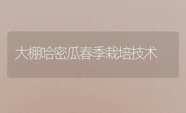 大棚哈密瓜春季栽培技术 | 植物百科