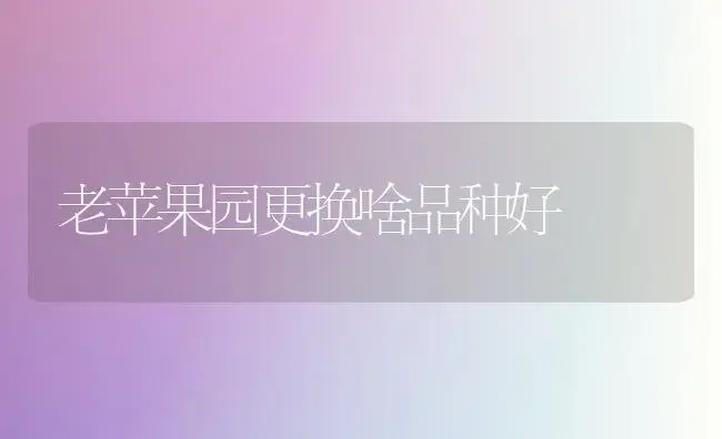 老苹果园更换啥品种好 | 植物百科