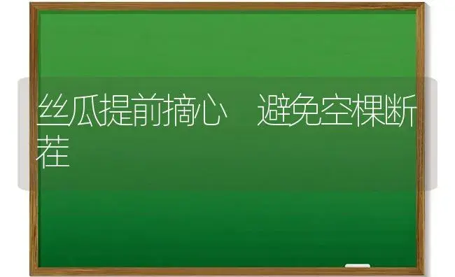 丝瓜提前摘心 避免空棵断茬 | 植物科普