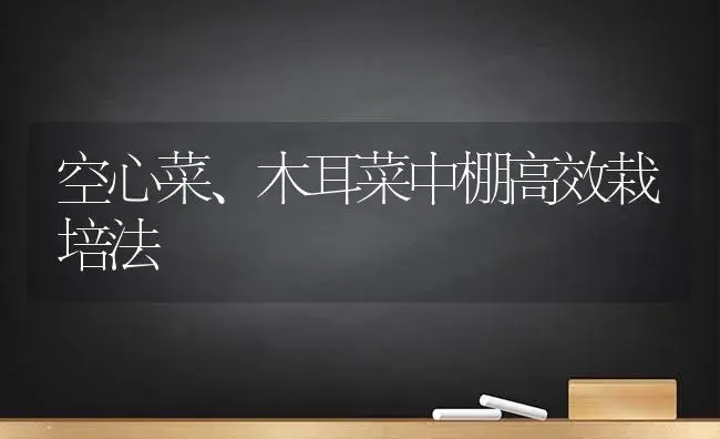 空心菜、木耳菜中棚高效栽培法 | 植物科普