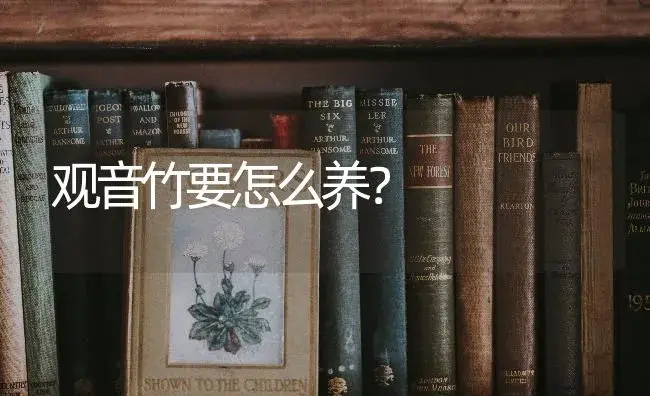 观音竹要怎么养？ | 植物问答