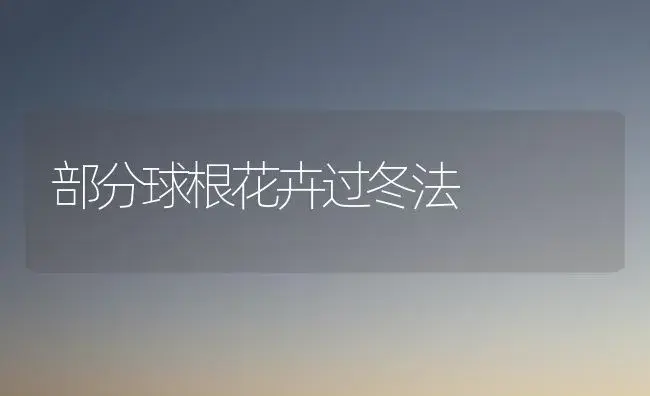 部分球根花卉过冬法 | 植物知识
