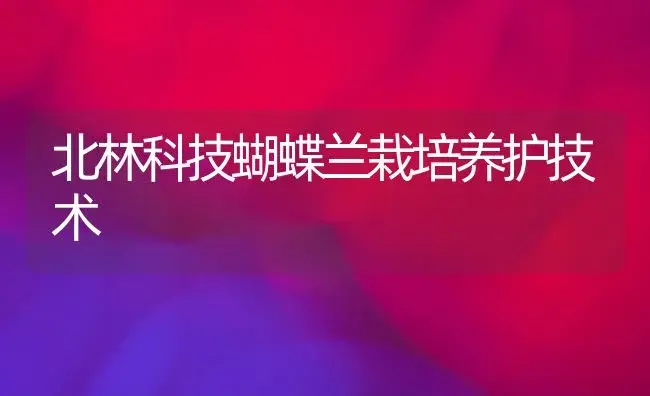 北林科技蝴蝶兰栽培养护技术 | 植物知识