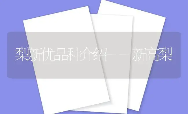 梨新优品种介绍--新高梨 | 植物百科