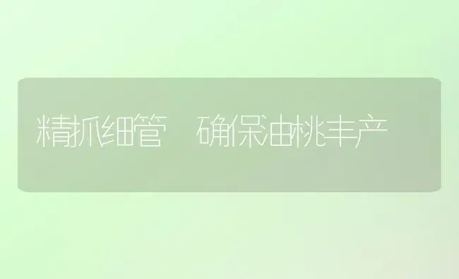 精抓细管　确保油桃丰产 | 植物科普