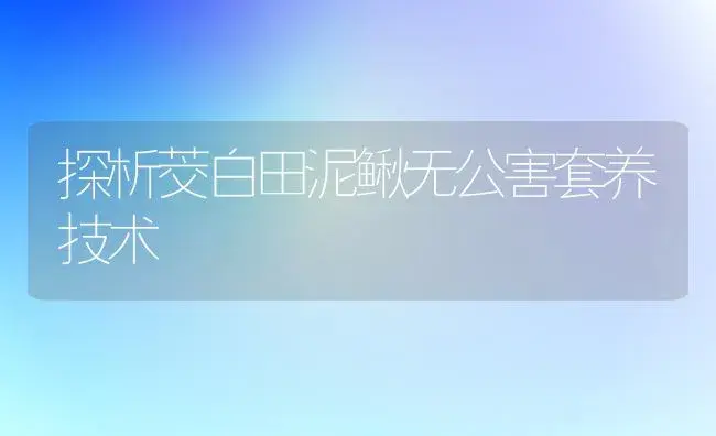 探析茭白田泥鳅无公害套养技术 | 植物科普