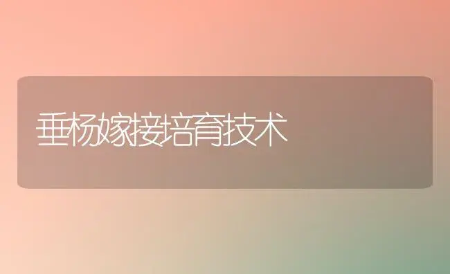 垂杨嫁接培育技术 | 植物科普