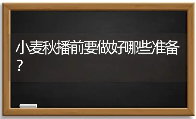 小麦秋播前要做好哪些准备？ | 植物科普