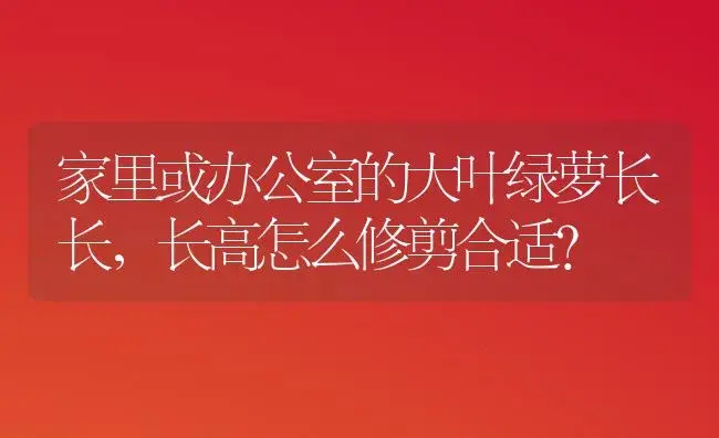 家里或办公室的大叶绿萝长长，长高怎么修剪合适？ | 植物问答