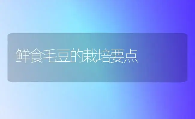 鲜食毛豆的栽培要点 | 植物科普