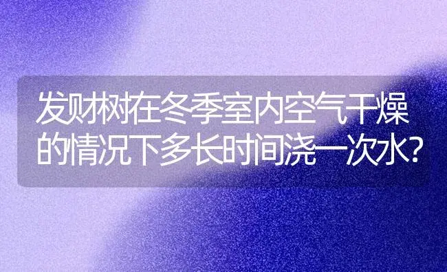 发财树在冬季室内空气干燥的情况下多长时间浇一次水？ | 植物问答