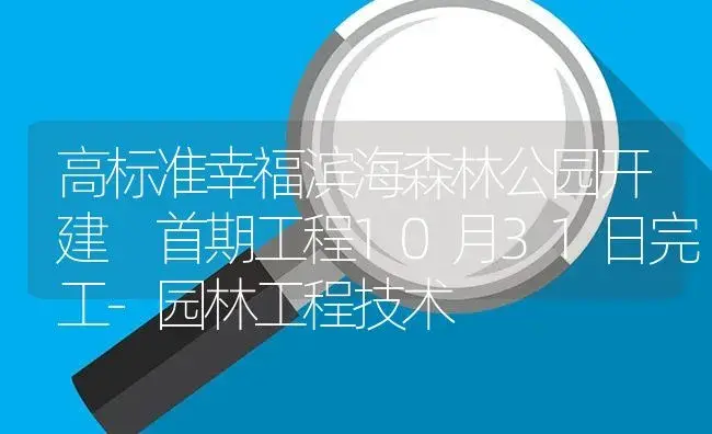 高标准幸福滨海森林公园开建 首期工程10月31日完工-园林工程技术 | 植物百科