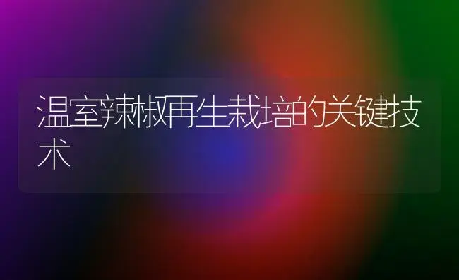 温室辣椒再生栽培的关键技术 | 植物科普