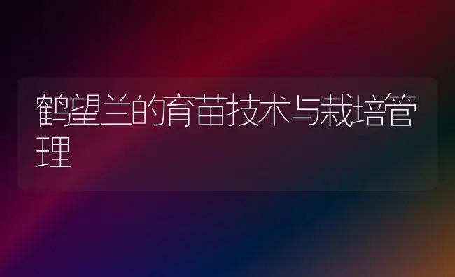 鹤望兰的育苗技术与栽培管理 | 植物科普