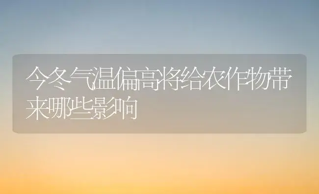 今冬气温偏高将给农作物带来哪些影响 | 植物科普