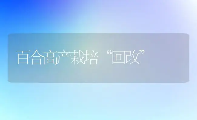 百合高产栽培“回改” | 植物知识