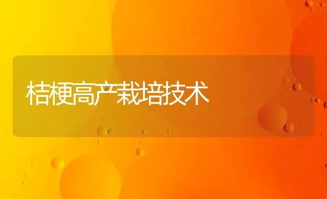 桔梗高产栽培技术 | 植物知识
