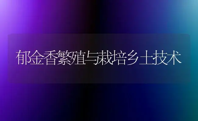 郁金香繁殖与栽培乡土技术 | 植物知识