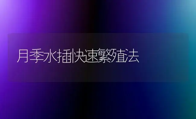 月季水插快速繁殖法 | 植物科普