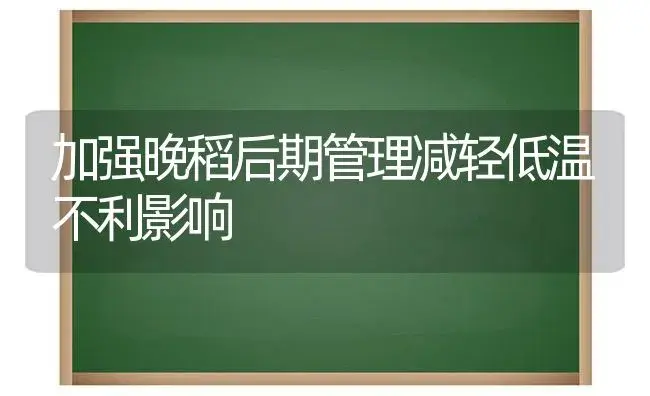 加强晚稻后期管理减轻低温不利影响 | 植物科普