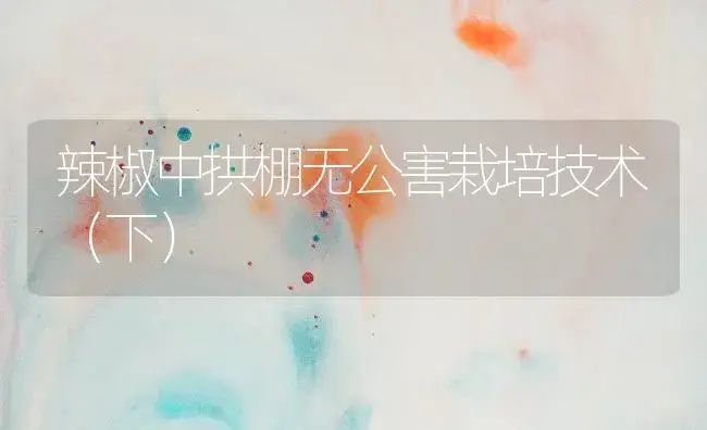 辣椒中拱棚无公害栽培技术（下） | 植物百科